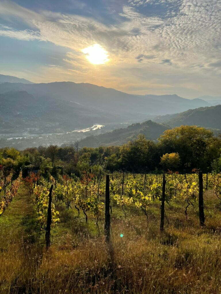 PRIVATI pažintinė kelionė